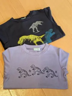 紺の恐竜プリントのロンＴ(120サイズ)