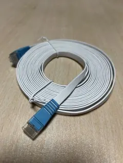 ホワイト RJ45 LANケーブル