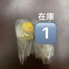 Straykids SKZOO スキズ ガチャ めじるしアクセサリー ポガリ