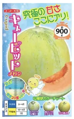 ゆうパパ様 リクエスト 5点 まとめ商品