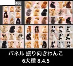 オーダーページ パネル 振り向きわんこ 6犬種 8.4.5