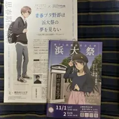 青ブタまとめ売り 2025年最新】青春ブタ野郎青ブタの人気アイテム - メルカリ