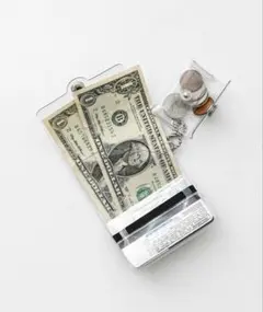 SALLISE ミニマルウォレット クリア 小銭入れ ブラック