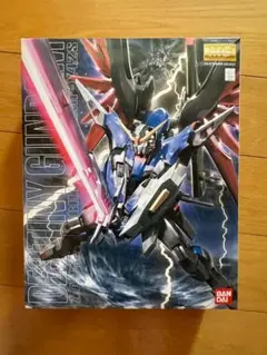 MG 1/100 デスティニーガンダム　34250826J10M MG デスティニーガンダム 1/100スケール – SOOTANG HOBBY
