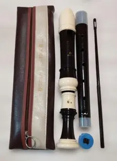 Item thumbnail for item 0adccbdd-f086-4c53-a020-77e4ed549b16