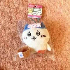 【温泉地域限定 ハチワレ】(静岡県にて購入しました)