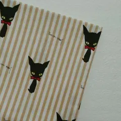 Item thumbnail for item 5ae785d0-bcc6-47d4-a368-0427a89827a1