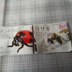 ネイチャーテクニカラー テントウムシ ウサギ　マグネット　ストラップ計3点