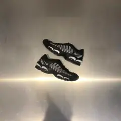 テイルウインド