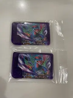 【新品・未使用】ポケモンフレンダ スーパートレジャー ボーマンダ2枚