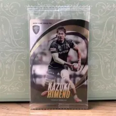 Item thumbnail for item 39d7ad71-b148-4815-85ef-b33d06309ca1