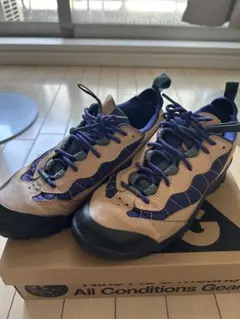 Item thumbnail for item 71f2a33d-a57a-4eac-846f-2ed3dab9c81e