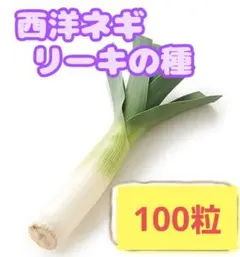 klimt様 リクエスト 2点 まとめ商品