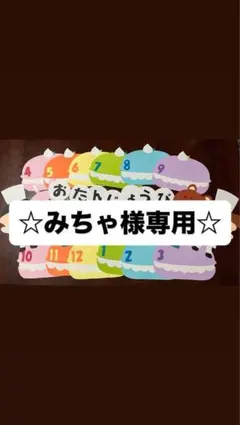 ☆みちゃ様専用☆ マカロンのみ