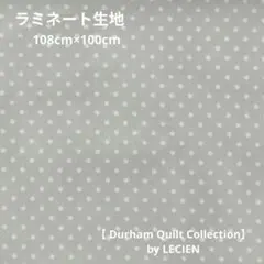 ラミネート生地 生地