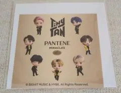 パンテーン TinyTAN タイニータン ステッカー シークレット