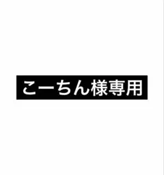 こーちん様専用
