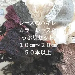 ジャンクジャーナル カラーレースたっぷりセット １０㎝～２０㎝５０本以上