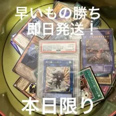 PSA10 爛漫の剣技 オーレリア LD Shadowverse EVOLVE - メルカリ