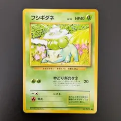 フシギダネ 旧裏　●マークあり 第1弾拡張パック