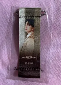 SEVENTEEN ジョシュア RIGHT HERE フラッグキーホルダー