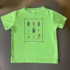 mont bell 昆虫プリント Tシャツ 110