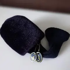 Item thumbnail for item 16d21515-863a-45cf-bc72-1aa2076042a6