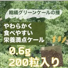 ひとみ様 リクエスト 3点 まとめ商品