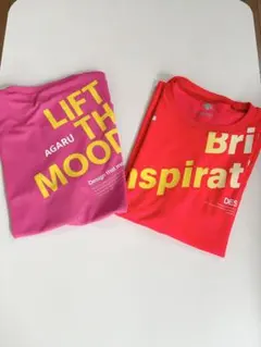 DESCENTE デサントTシャツ 2枚セット