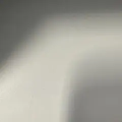 専用出品
