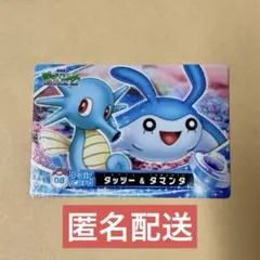 ポケモンずかん カードダス タッツー&タマンタ