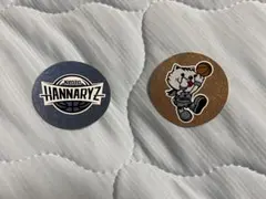 京都ハンナリーズ　キラキラシール