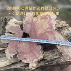 わかちゃんさん専用　岩手県産天然舞茸1.2キロ わかちゃんさん専用 岩手県産天然舞茸1.2キロ - メルカリ