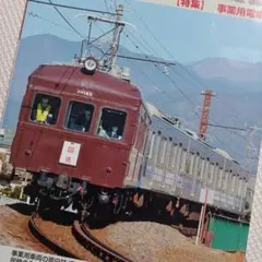 フェイト様 リクエスト 2点 まとめ商品