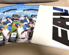最終値下げ★ 日本ハムファイターズ ローソン限定 ファイル 日ハム ファイターズ