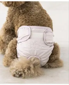 犬用マナーパンツ・サニタリーパンツ　ライトピンク　女の子用　Sサイズのサムネイル