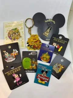 ディズニーランド ピンバッジ キーホルダー 10個セット<E>