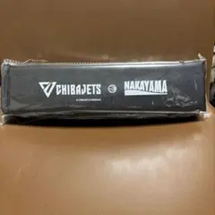 千葉ジェッツ×中山競馬場　折りたたみクッション