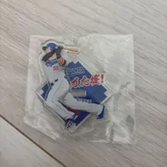 中日ドラゴンズ アクスタくじ 細川成也 55