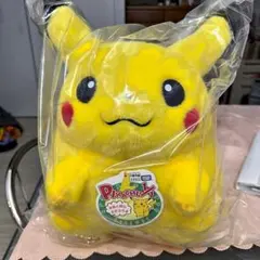 韓国限定 ポケモン キャプテンピカチュウ ぬいぐるみ アルバムセット