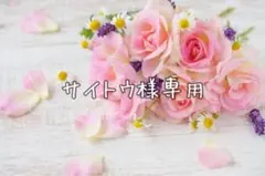 サイトウ様専用·͜· ︎︎ᕷ