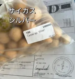 2025年最新】サイカス タイシルバーの人気アイテム - メルカリ