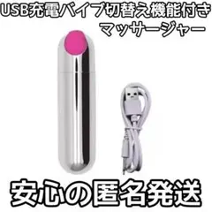 安心の匿名発送 USB充電マッサージャー マッサージ 電マ ローター バイブのサムネイル