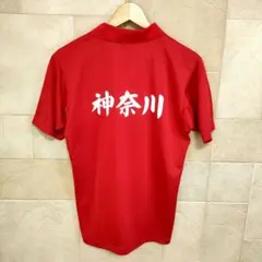 ヨネックス背面神奈川ユニフォームのサムネイル