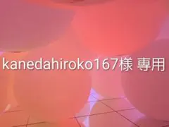 kanedahiroko167様 リクエスト 3点
