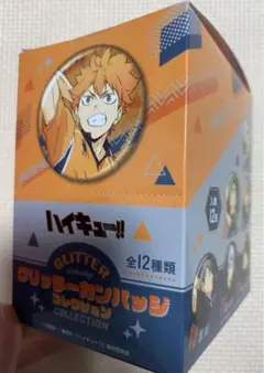 ハイキュー!! フォトカード&ステッカーコレクション 第2弾 10枚　未開封