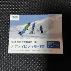 スキー リフト割引 白馬 日本駐車場開発 株主優待 1枚