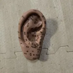 Item thumbnail for item 68e33c95-b4aa-48ab-a715-b3db8b05862d