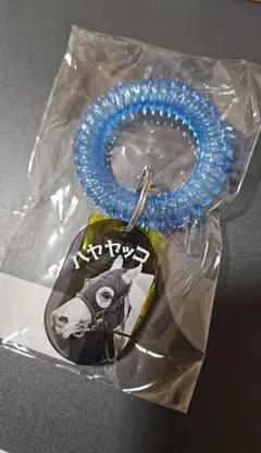 競馬キーホルダー 函館競馬場 ハヤヤッコ サウナ風アクリルキーホルダーのサムネイル