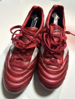 モレリア2 JAPANパッションレッド